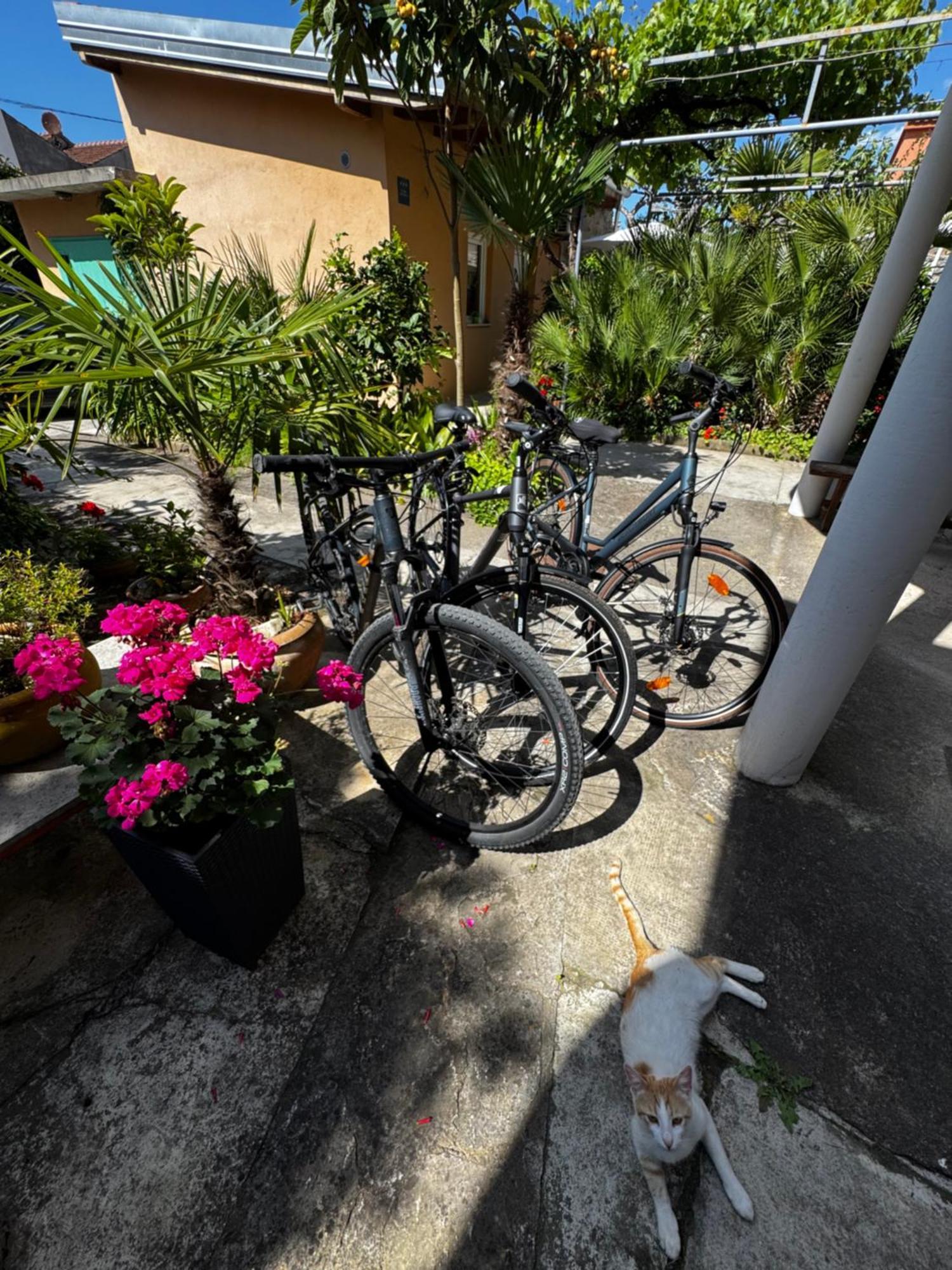 Eleonora Apartments Zadar Exterior foto
